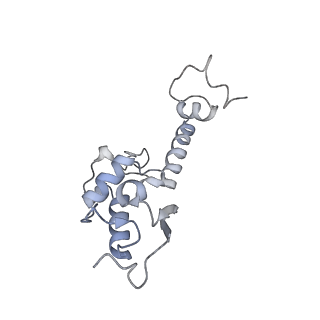 21529_6w2s_T_v1-2
Structure of the Cricket Paralysis Virus 5-UTR IRES (CrPV 5-UTR-IRES) bound to the small ribosomal subunit in the open state (Class 1)