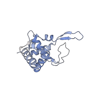 21529_6w2s_U_v1-2
Structure of the Cricket Paralysis Virus 5-UTR IRES (CrPV 5-UTR-IRES) bound to the small ribosomal subunit in the open state (Class 1)