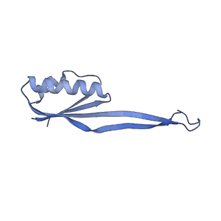 21529_6w2s_V_v1-2
Structure of the Cricket Paralysis Virus 5-UTR IRES (CrPV 5-UTR-IRES) bound to the small ribosomal subunit in the open state (Class 1)