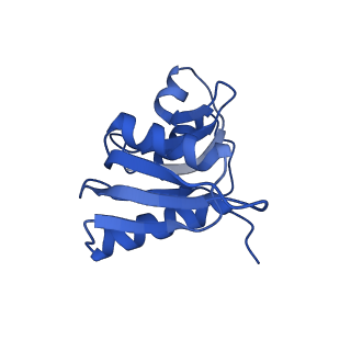 21529_6w2s_X_v1-1
Structure of the Cricket Paralysis Virus 5-UTR IRES (CrPV 5-UTR-IRES) bound to the small ribosomal subunit in the open state (Class 1)