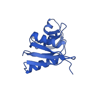 21529_6w2s_X_v1-2
Structure of the Cricket Paralysis Virus 5-UTR IRES (CrPV 5-UTR-IRES) bound to the small ribosomal subunit in the open state (Class 1)