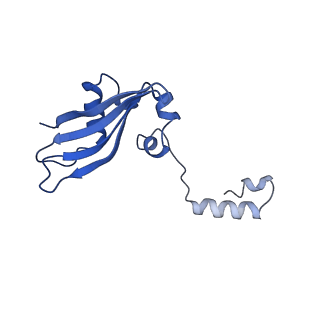 21529_6w2s_Z_v1-2
Structure of the Cricket Paralysis Virus 5-UTR IRES (CrPV 5-UTR-IRES) bound to the small ribosomal subunit in the open state (Class 1)