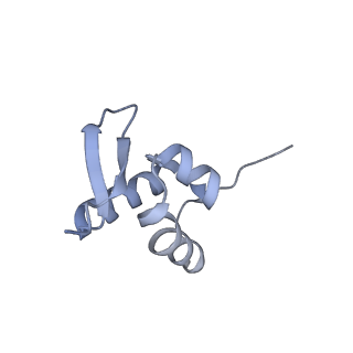 21529_6w2s_a_v1-2
Structure of the Cricket Paralysis Virus 5-UTR IRES (CrPV 5-UTR-IRES) bound to the small ribosomal subunit in the open state (Class 1)