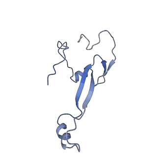 21529_6w2s_b_v1-2
Structure of the Cricket Paralysis Virus 5-UTR IRES (CrPV 5-UTR-IRES) bound to the small ribosomal subunit in the open state (Class 1)