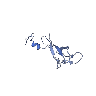 21529_6w2s_c_v1-2
Structure of the Cricket Paralysis Virus 5-UTR IRES (CrPV 5-UTR-IRES) bound to the small ribosomal subunit in the open state (Class 1)