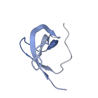 21529_6w2s_d_v1-2
Structure of the Cricket Paralysis Virus 5-UTR IRES (CrPV 5-UTR-IRES) bound to the small ribosomal subunit in the open state (Class 1)