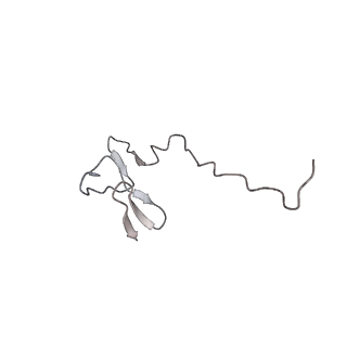 21529_6w2s_g_v1-2
Structure of the Cricket Paralysis Virus 5-UTR IRES (CrPV 5-UTR-IRES) bound to the small ribosomal subunit in the open state (Class 1)