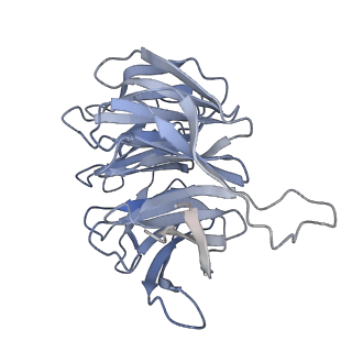 21529_6w2s_h_v1-2
Structure of the Cricket Paralysis Virus 5-UTR IRES (CrPV 5-UTR-IRES) bound to the small ribosomal subunit in the open state (Class 1)