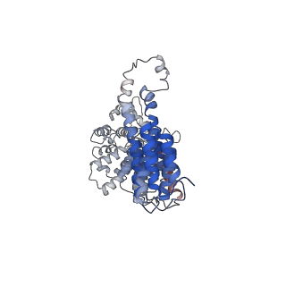 21530_6w2t_1_v1-2
Structure of the Cricket Paralysis Virus 5-UTR IRES (CrPV 5-UTR-IRES) bound to the small ribosomal subunit in the closed state (Class 2)