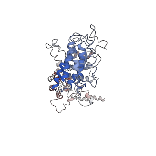 21530_6w2t_2_v1-2
Structure of the Cricket Paralysis Virus 5-UTR IRES (CrPV 5-UTR-IRES) bound to the small ribosomal subunit in the closed state (Class 2)