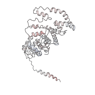 21530_6w2t_3_v1-2
Structure of the Cricket Paralysis Virus 5-UTR IRES (CrPV 5-UTR-IRES) bound to the small ribosomal subunit in the closed state (Class 2)