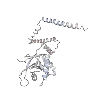 21530_6w2t_4_v1-2
Structure of the Cricket Paralysis Virus 5-UTR IRES (CrPV 5-UTR-IRES) bound to the small ribosomal subunit in the closed state (Class 2)