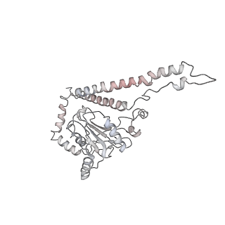 21530_6w2t_5_v1-2
Structure of the Cricket Paralysis Virus 5-UTR IRES (CrPV 5-UTR-IRES) bound to the small ribosomal subunit in the closed state (Class 2)