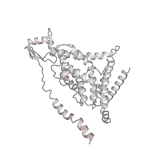 21530_6w2t_7_v1-2
Structure of the Cricket Paralysis Virus 5-UTR IRES (CrPV 5-UTR-IRES) bound to the small ribosomal subunit in the closed state (Class 2)