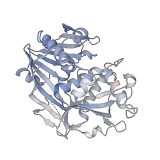 21530_6w2t_9_v1-2
Structure of the Cricket Paralysis Virus 5-UTR IRES (CrPV 5-UTR-IRES) bound to the small ribosomal subunit in the closed state (Class 2)