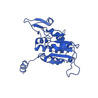 21530_6w2t_B_v1-2
Structure of the Cricket Paralysis Virus 5-UTR IRES (CrPV 5-UTR-IRES) bound to the small ribosomal subunit in the closed state (Class 2)