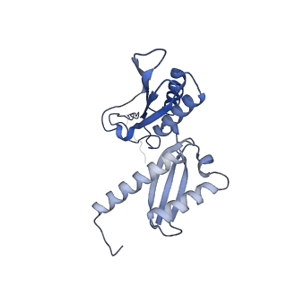 21530_6w2t_E_v1-2
Structure of the Cricket Paralysis Virus 5-UTR IRES (CrPV 5-UTR-IRES) bound to the small ribosomal subunit in the closed state (Class 2)