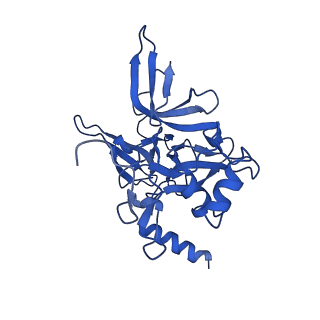 21530_6w2t_F_v1-2
Structure of the Cricket Paralysis Virus 5-UTR IRES (CrPV 5-UTR-IRES) bound to the small ribosomal subunit in the closed state (Class 2)