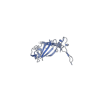 21530_6w2t_H_v1-2
Structure of the Cricket Paralysis Virus 5-UTR IRES (CrPV 5-UTR-IRES) bound to the small ribosomal subunit in the closed state (Class 2)