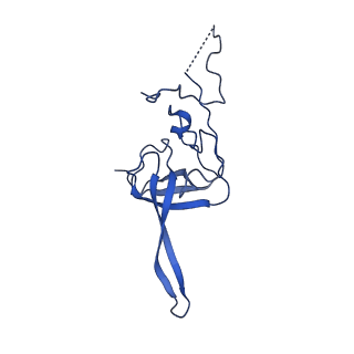 21530_6w2t_M_v1-2
Structure of the Cricket Paralysis Virus 5-UTR IRES (CrPV 5-UTR-IRES) bound to the small ribosomal subunit in the closed state (Class 2)