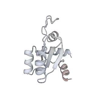 21530_6w2t_N_v1-2
Structure of the Cricket Paralysis Virus 5-UTR IRES (CrPV 5-UTR-IRES) bound to the small ribosomal subunit in the closed state (Class 2)