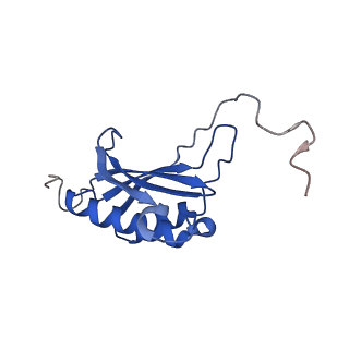 21530_6w2t_P_v1-2
Structure of the Cricket Paralysis Virus 5-UTR IRES (CrPV 5-UTR-IRES) bound to the small ribosomal subunit in the closed state (Class 2)