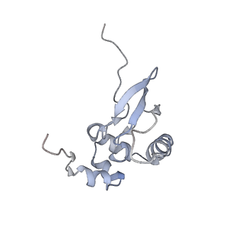 21530_6w2t_Q_v1-2
Structure of the Cricket Paralysis Virus 5-UTR IRES (CrPV 5-UTR-IRES) bound to the small ribosomal subunit in the closed state (Class 2)