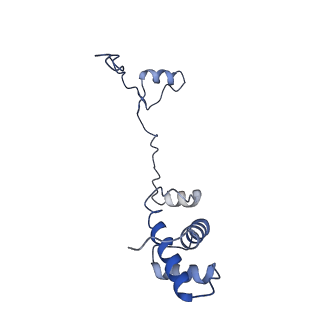 21530_6w2t_S_v1-2
Structure of the Cricket Paralysis Virus 5-UTR IRES (CrPV 5-UTR-IRES) bound to the small ribosomal subunit in the closed state (Class 2)