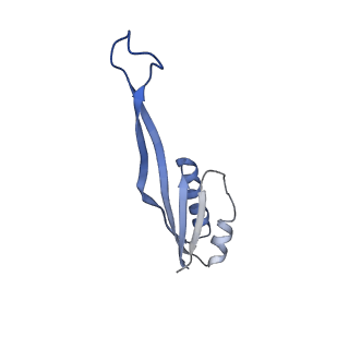 21530_6w2t_V_v1-2
Structure of the Cricket Paralysis Virus 5-UTR IRES (CrPV 5-UTR-IRES) bound to the small ribosomal subunit in the closed state (Class 2)