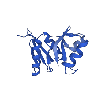 21530_6w2t_X_v1-2
Structure of the Cricket Paralysis Virus 5-UTR IRES (CrPV 5-UTR-IRES) bound to the small ribosomal subunit in the closed state (Class 2)