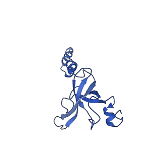 21530_6w2t_Y_v1-2
Structure of the Cricket Paralysis Virus 5-UTR IRES (CrPV 5-UTR-IRES) bound to the small ribosomal subunit in the closed state (Class 2)