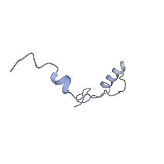 21530_6w2t_f_v1-2
Structure of the Cricket Paralysis Virus 5-UTR IRES (CrPV 5-UTR-IRES) bound to the small ribosomal subunit in the closed state (Class 2)