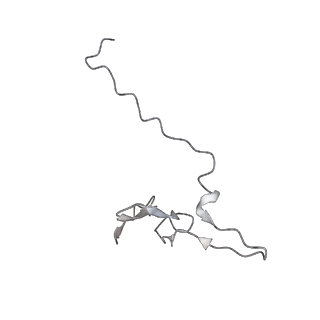 21530_6w2t_g_v1-2
Structure of the Cricket Paralysis Virus 5-UTR IRES (CrPV 5-UTR-IRES) bound to the small ribosomal subunit in the closed state (Class 2)