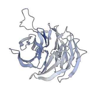 21530_6w2t_h_v1-2
Structure of the Cricket Paralysis Virus 5-UTR IRES (CrPV 5-UTR-IRES) bound to the small ribosomal subunit in the closed state (Class 2)