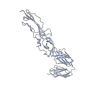 21532_6w2u_A_v1-1
Mayaro Virus glycoprotein E1 ectodomain and glycoportien E2 ectodomain asymmetric unit
