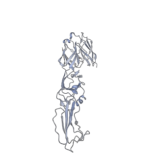 21532_6w2u_C_v1-1
Mayaro Virus glycoprotein E1 ectodomain and glycoportien E2 ectodomain asymmetric unit