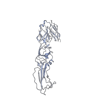 21532_6w2u_C_v1-2
Mayaro Virus glycoprotein E1 ectodomain and glycoportien E2 ectodomain asymmetric unit