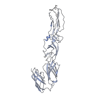 21532_6w2u_D_v1-1
Mayaro Virus glycoprotein E1 ectodomain and glycoportien E2 ectodomain asymmetric unit