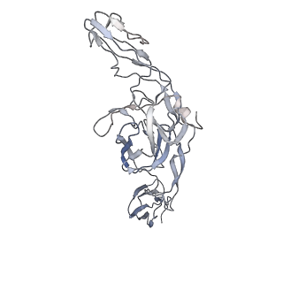 21532_6w2u_E_v1-2
Mayaro Virus glycoprotein E1 ectodomain and glycoportien E2 ectodomain asymmetric unit