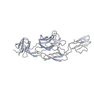 21532_6w2u_F_v1-1
Mayaro Virus glycoprotein E1 ectodomain and glycoportien E2 ectodomain asymmetric unit