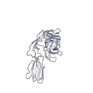 21532_6w2u_G_v1-1
Mayaro Virus glycoprotein E1 ectodomain and glycoportien E2 ectodomain asymmetric unit
