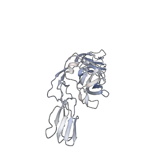 21532_6w2u_G_v1-2
Mayaro Virus glycoprotein E1 ectodomain and glycoportien E2 ectodomain asymmetric unit