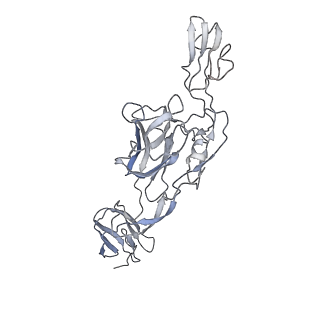 21532_6w2u_H_v1-2
Mayaro Virus glycoprotein E1 ectodomain and glycoportien E2 ectodomain asymmetric unit