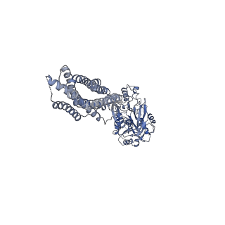 21533_6w2x_A_v1-1
CryoEM Structure of Inactive GABAB Heterodimer