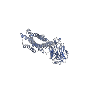 21533_6w2x_A_v2-1
CryoEM Structure of Inactive GABAB Heterodimer