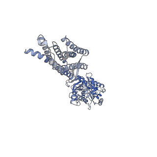 21533_6w2x_B_v1-1
CryoEM Structure of Inactive GABAB Heterodimer
