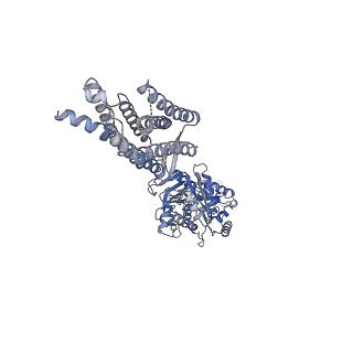 21533_6w2x_B_v2-1
CryoEM Structure of Inactive GABAB Heterodimer