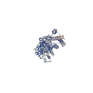 21534_6w2y_B_v1-1
CryoEM Structure of GABAB1b Homodimer