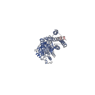 21534_6w2y_B_v2-1
CryoEM Structure of GABAB1b Homodimer