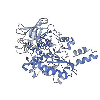 32262_7w2j_A_v1-2
Cryo-EM Structure of Membrane-bound Fructose Dehydrogenase from Gluconobacter japonicus